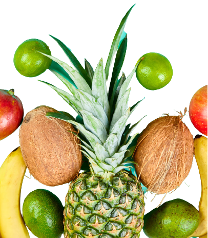 INTOLERÂNCIA A FRUTOSE